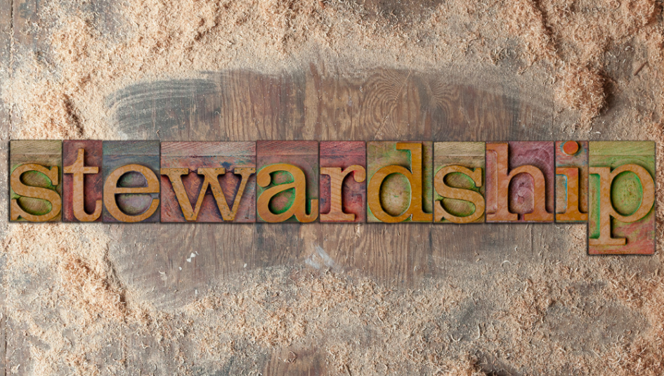 Stewardship Blog Banner.png
